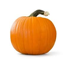PUMPKIN ORANGE WIC APPROVED  MEDIUM
