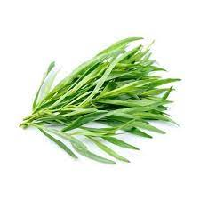 HERB TARRAGON