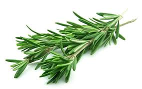 ROSEMARY HERB