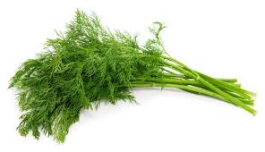 HERB DILL