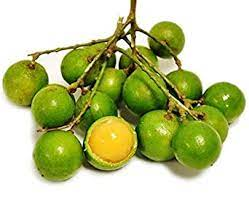 QUENEPAS
