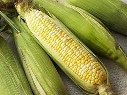 CORN BICOLOR UNPEELED LOCAL