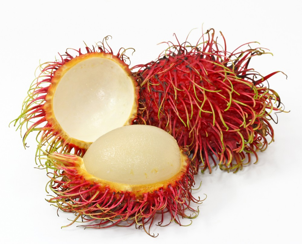 RAMBUTAN