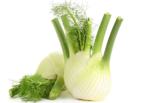 FENNEL ANISE