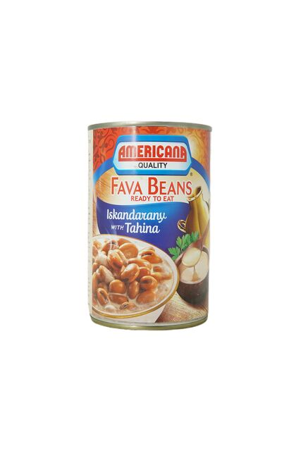 FAVA BEANS FOUL WITH TAHINI