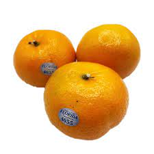 ORANGE TANGERINE FLORIDA