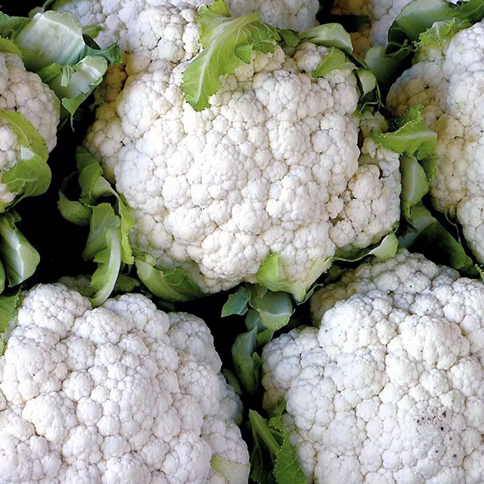 CAULIFLOWER WHITE