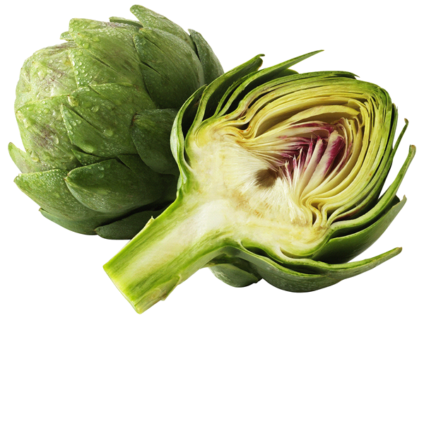 ARTICHOKE LARGE