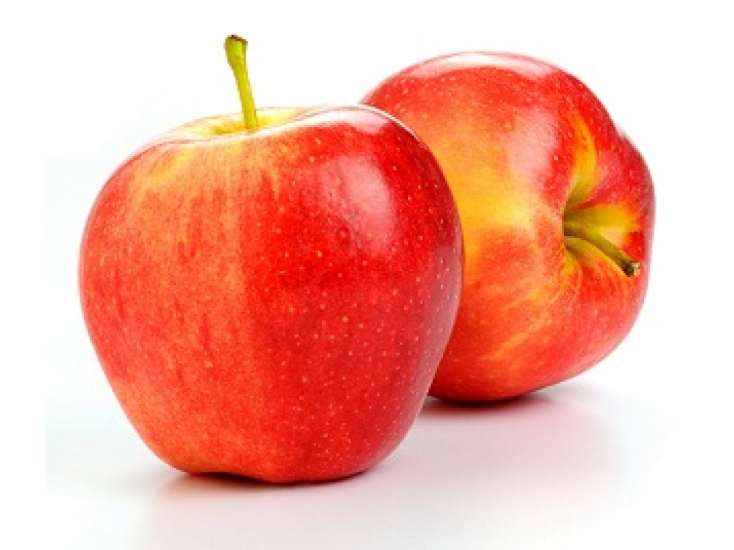 APPLE GALA