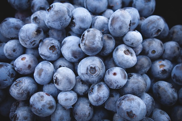 BLUEBERRY PACK