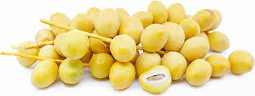 DATE ON THE VINE GOLDEN  per/LB