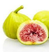 FIG WHITE