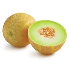 CANTALOUPE MELON HONEY