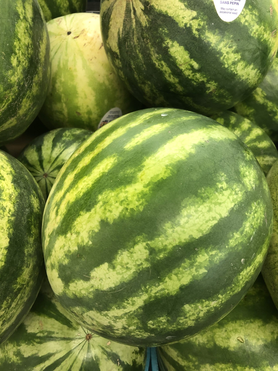 WATERMELON SEEDED LARGE