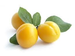 PLUMS YELLOW 