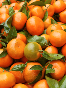 ORANGE MANDARIN