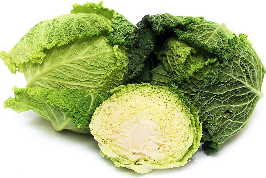 CABBAGE SAVOY