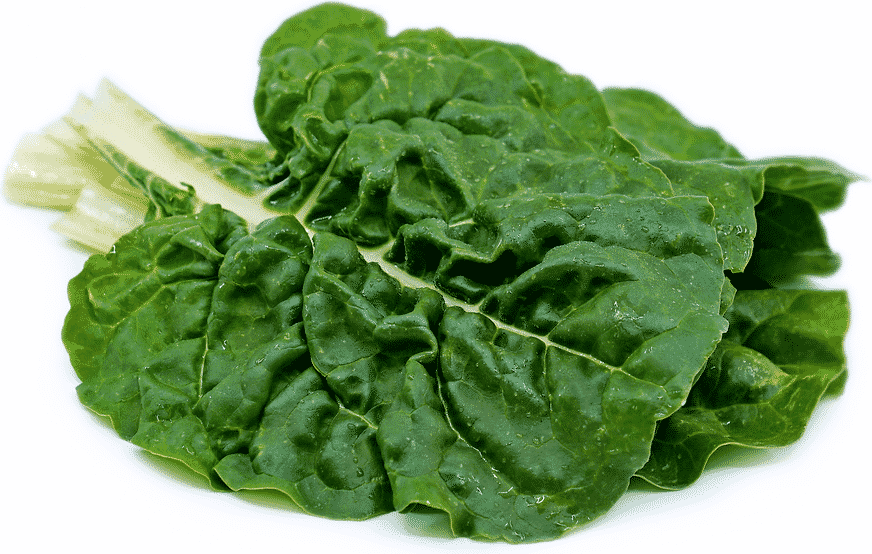 SWISS CHARD GREEN