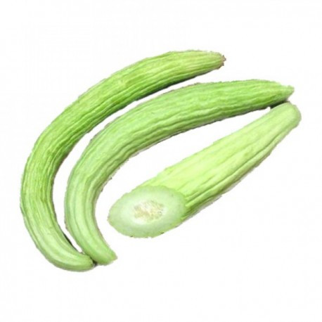 CUCUMBER ARMENIAN MA2TE