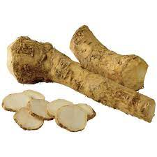 HORSERADISH ROOT
