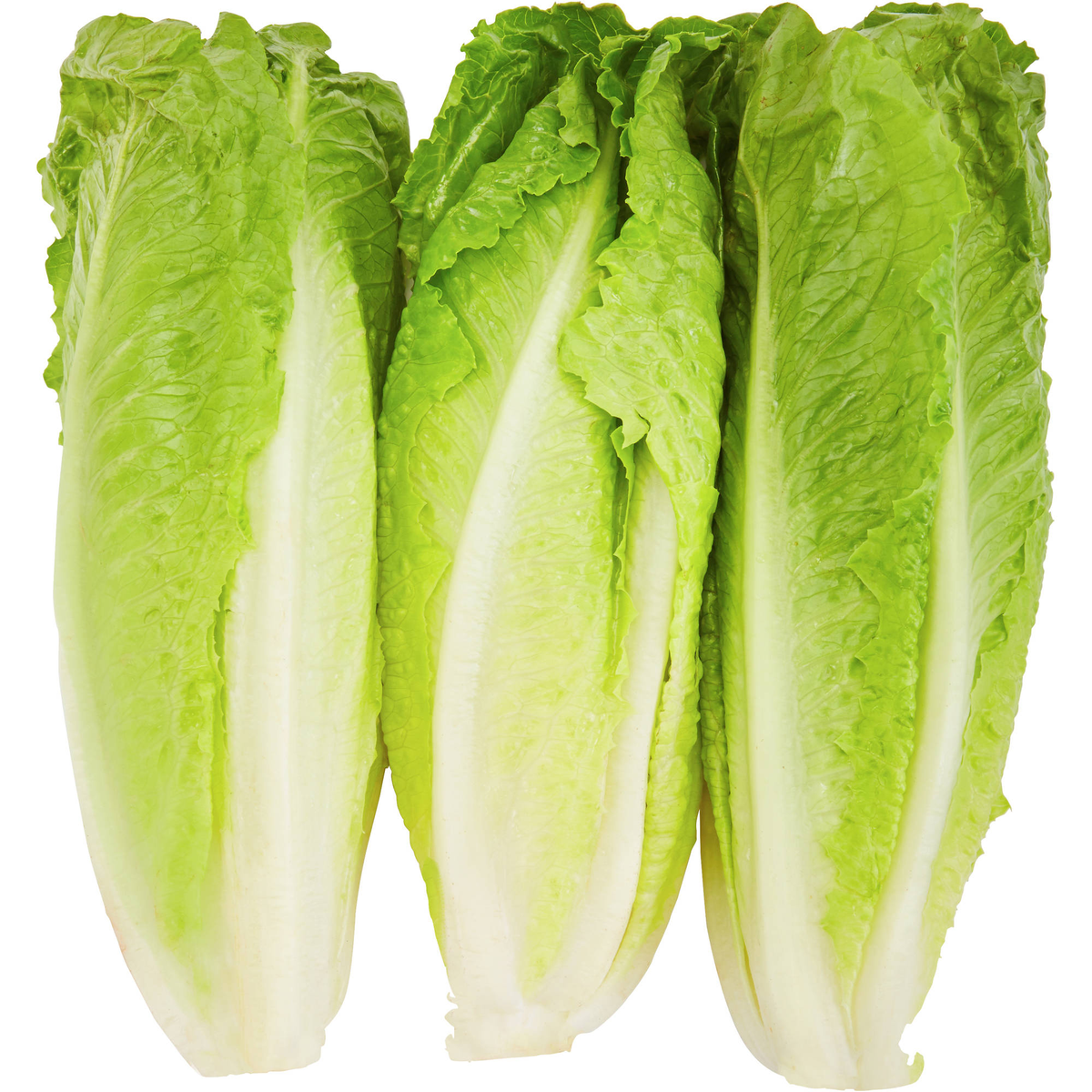 LETTUCE ROMAINE HEART BAG