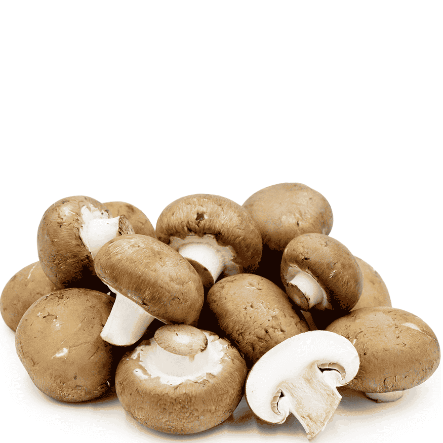 MUSHROOM PORTABELLA BABY PACK