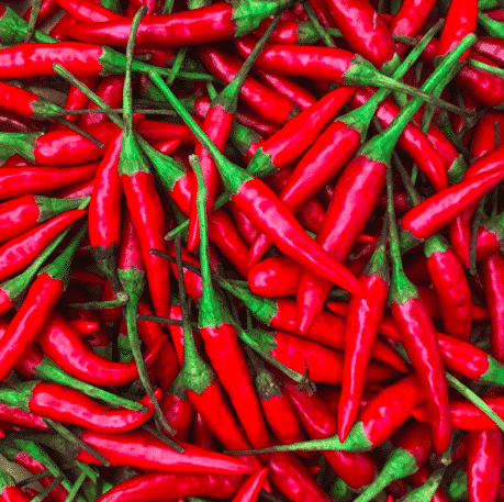 PEPPER THAI RED