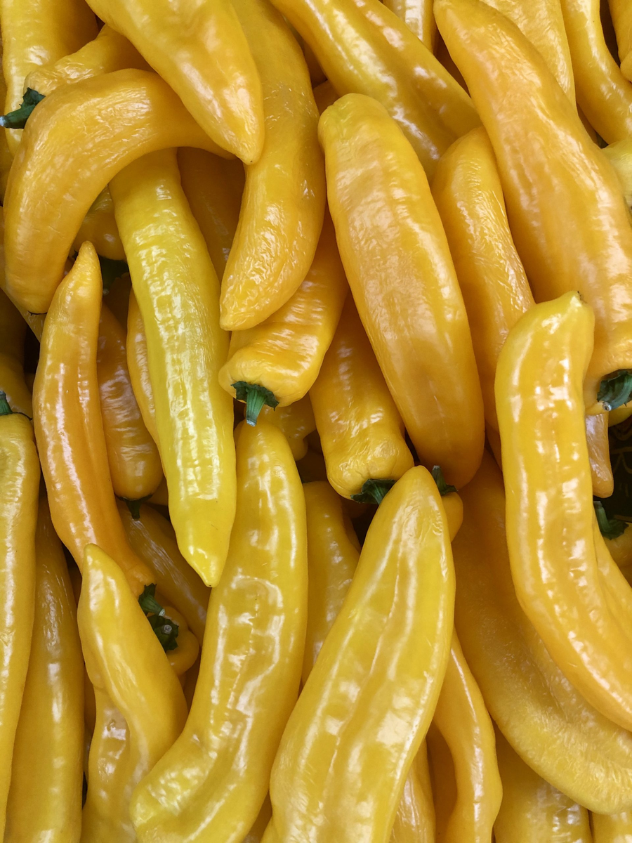 PEPPER TWISTER LONG SWEET