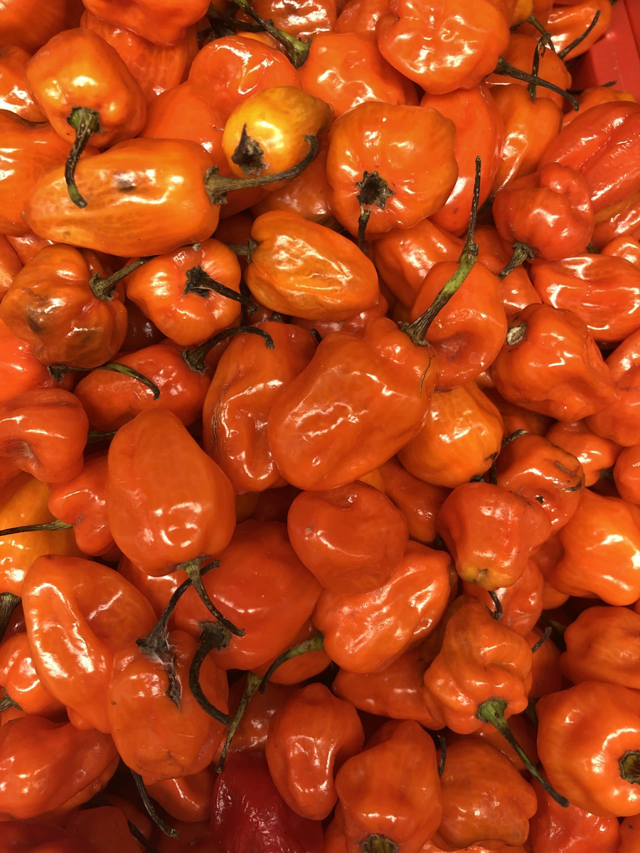 PEPPER HABANERO HOT ORANGE