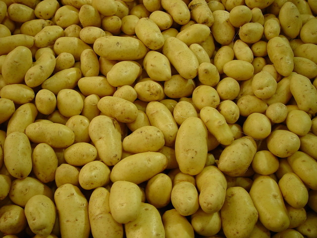 POTATO WHITE CHEF