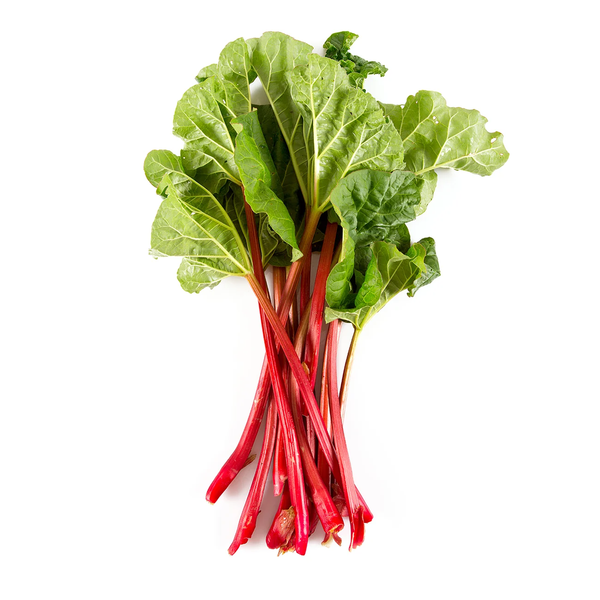 RHUBARB
