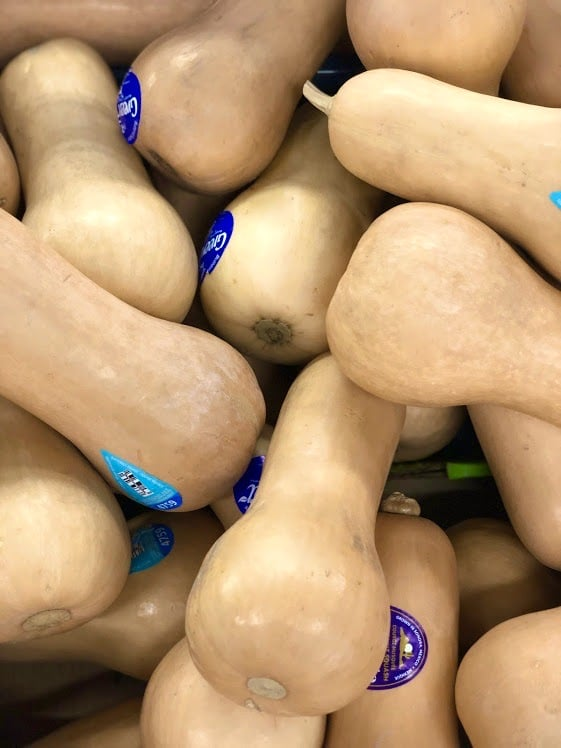 SQUASH BUTTERNUT 