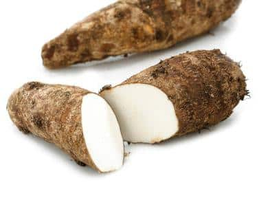 ROOT YAUTIA WHITE