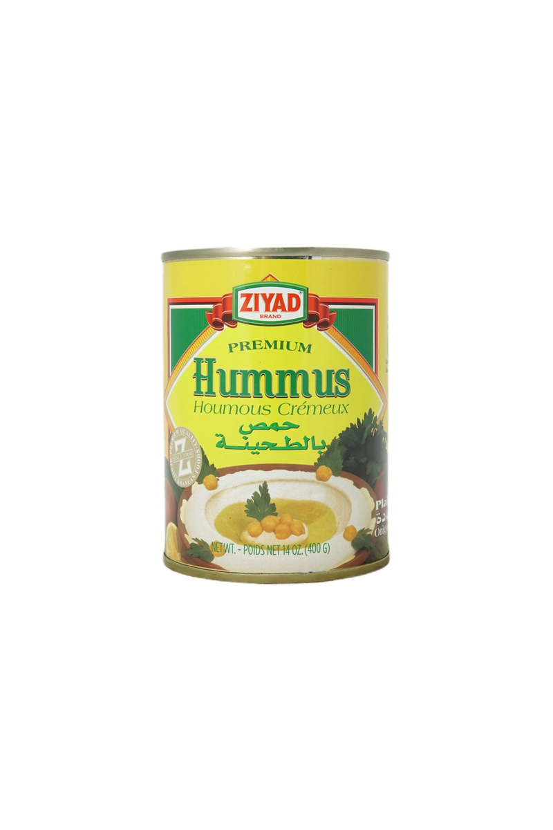 HUMMUS TAHINI DIP