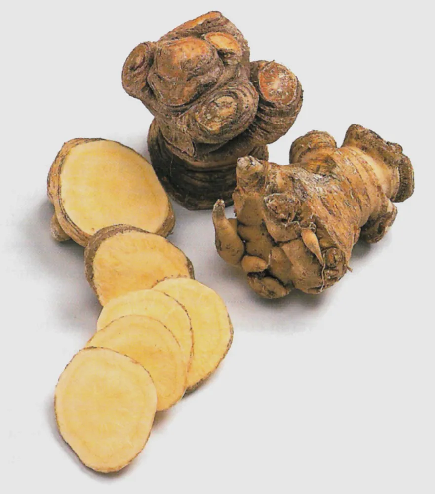 ROOT APIO