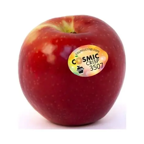 APPLE COSMIC CRISP