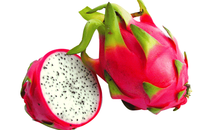 dragon fruit fruit