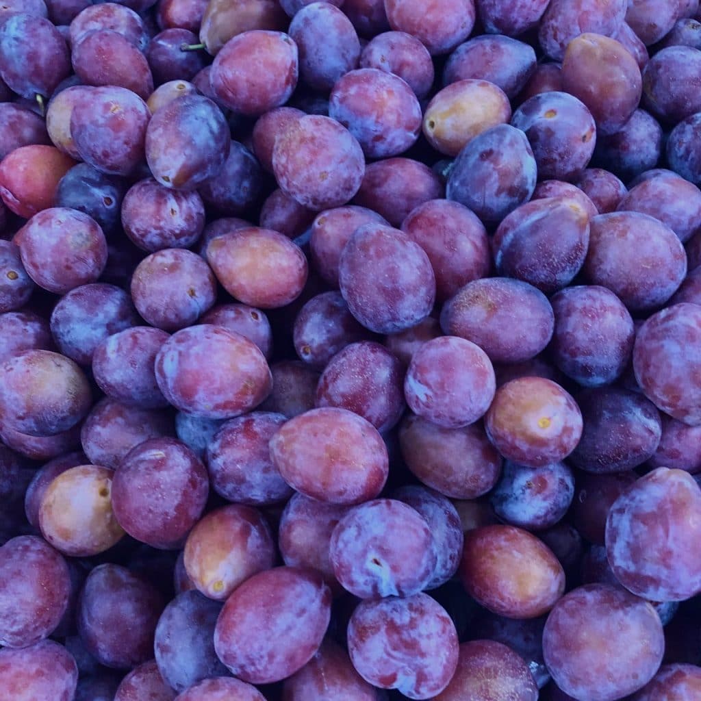plums-sugar-per-lb